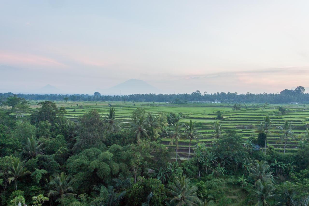 Seres Springs Resort & Spa, Singakerta Ubud  Exterior photo